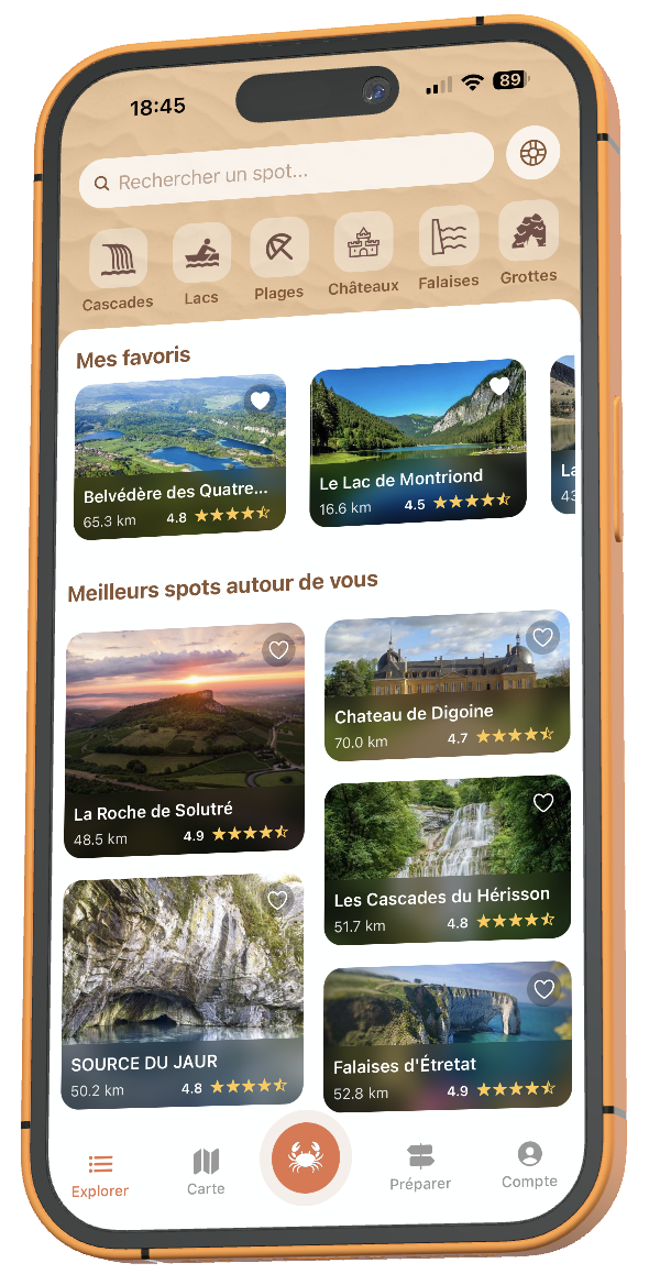 Aperçu de l'application