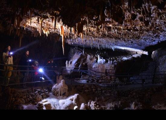 Photo de Aven Grotte Forestière