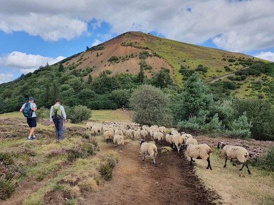 Photo de Le Puy du Pariou