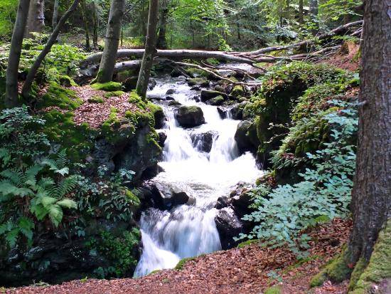 Photo de Cascades de Chiloza