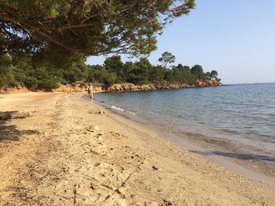 Photo de Plage du Pellegrin
