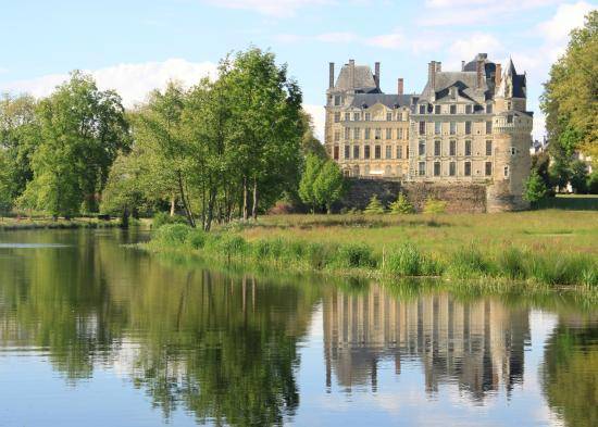 Photo de Château de Brissac