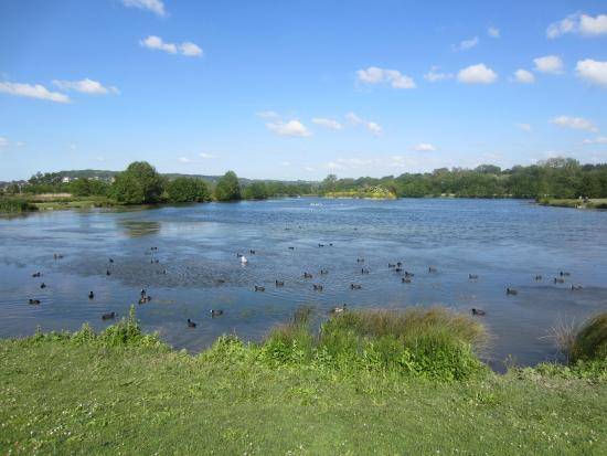 Photo de Le Parc Naturel du Marais