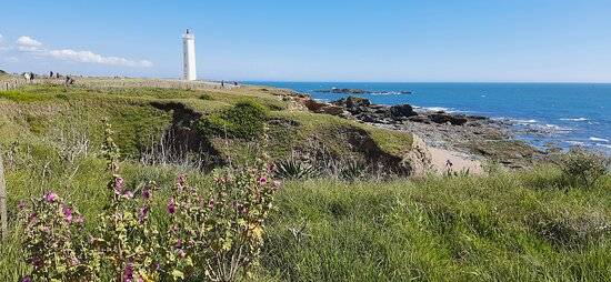 Photo de Les Cinq Pineaux