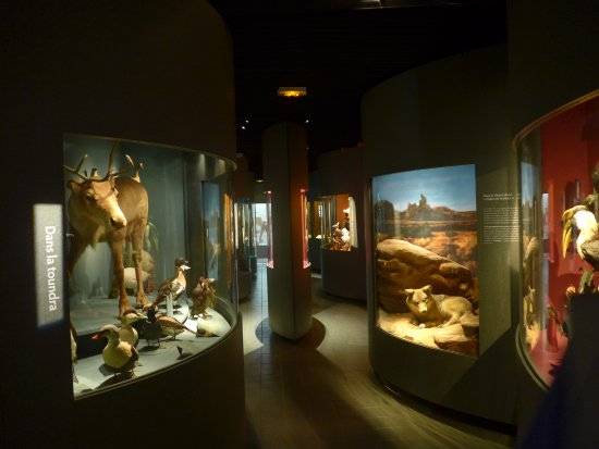 Photo de Muséum d'Histoire Naturelle