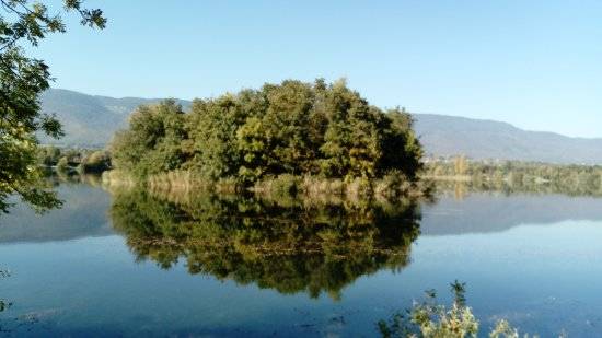 Photo de Lac de Divonne