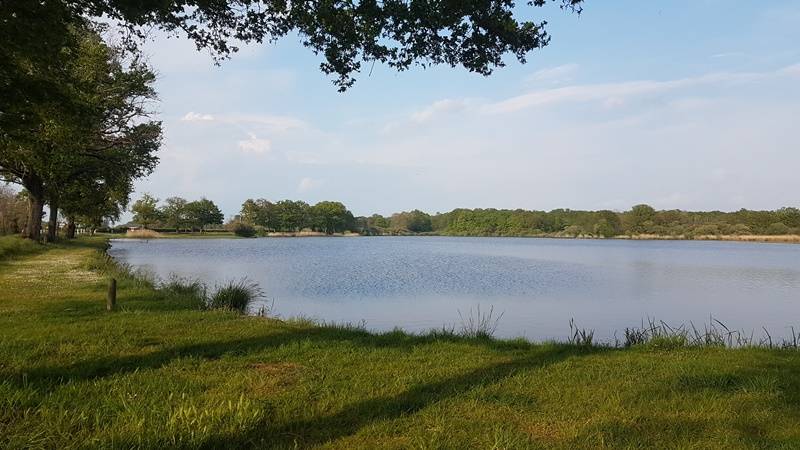 Photo de Etang de la Rochechevreux