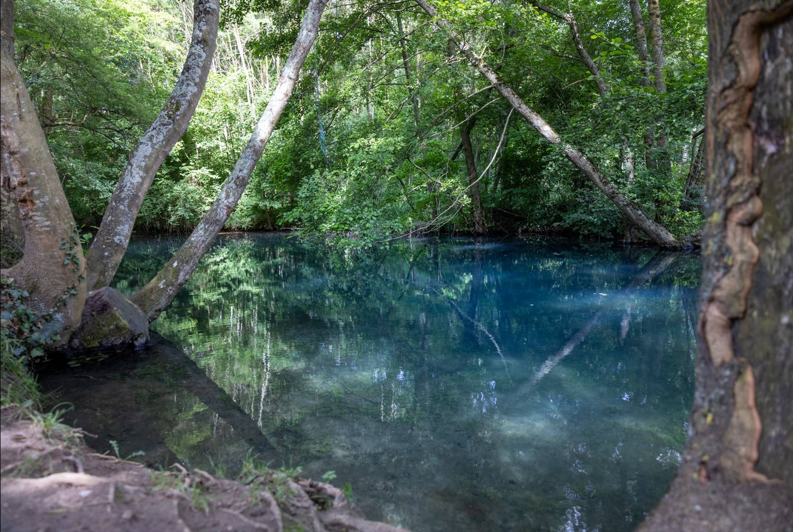 Photo de Les Eaux bleues