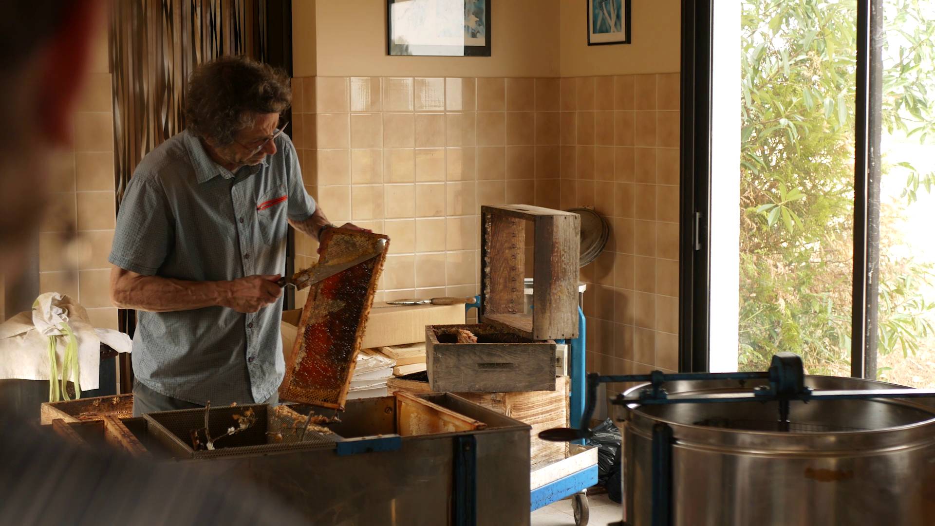 Photo de Musée Vivant de l'Apiculture Gâtinaise