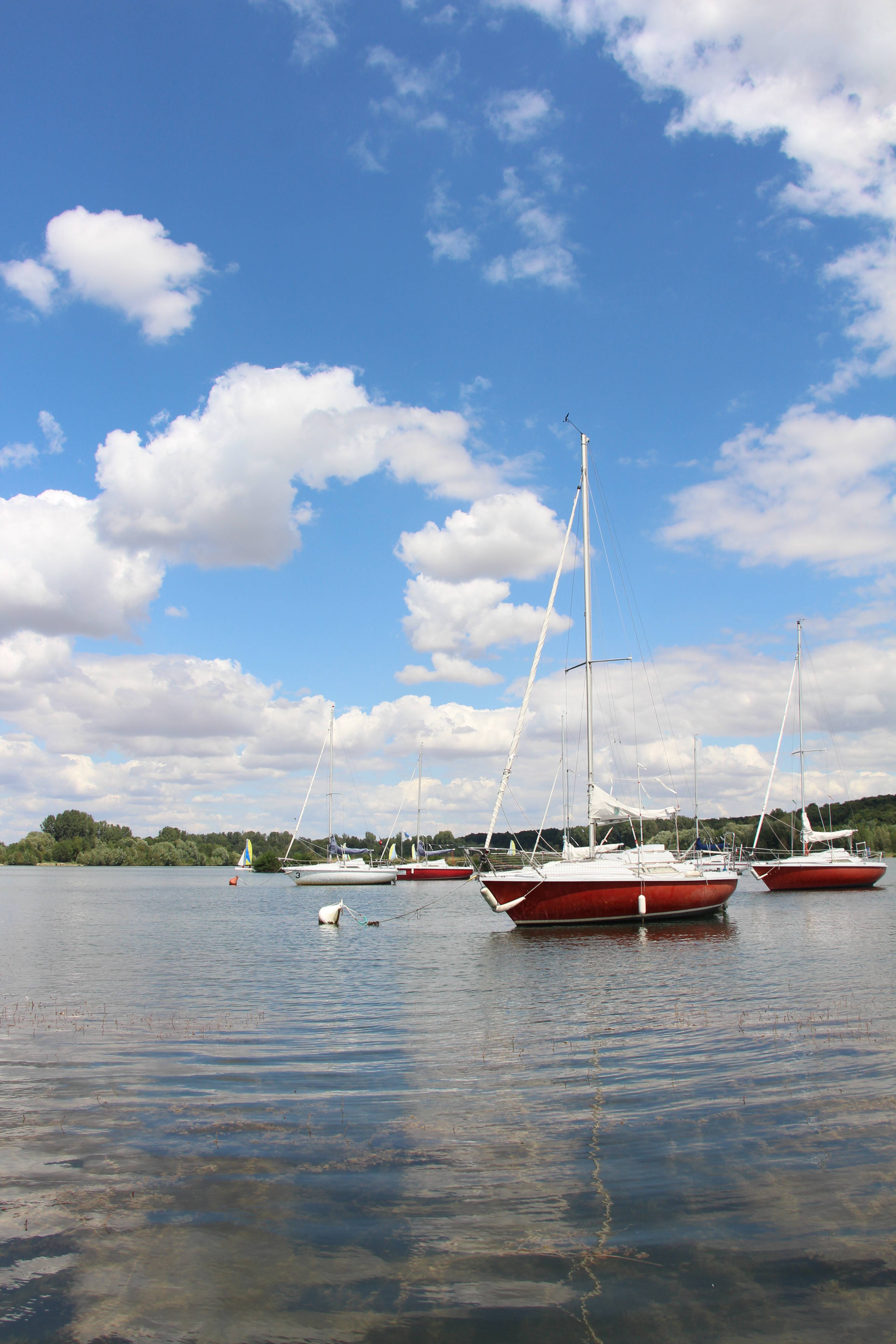 Photo de Étangs de Cepoy