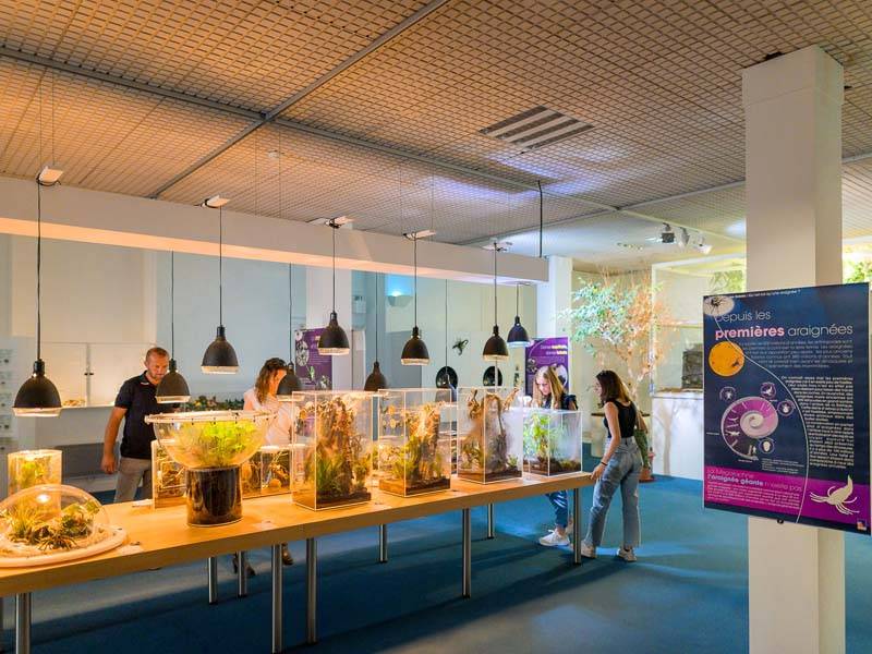 Photo de Muséum d'Histoire naturelle