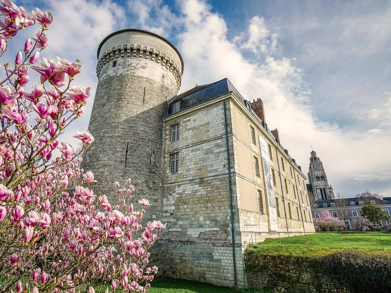 Photo de Château de Tours