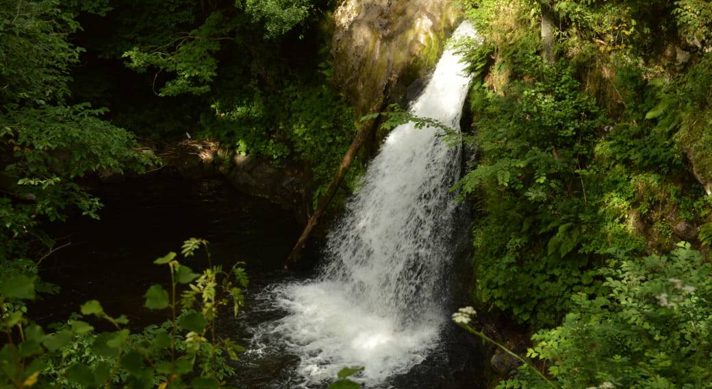 Photo de Cascade Sainte-Élisabeth
