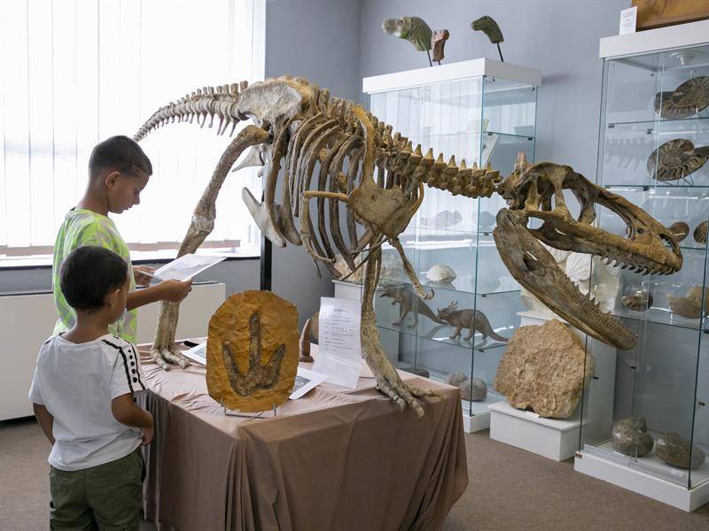 Photo de Musée Géolor