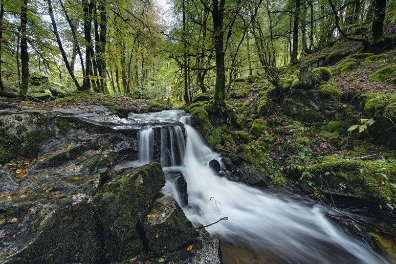 Photo de Cascade de la Tine - Concèze