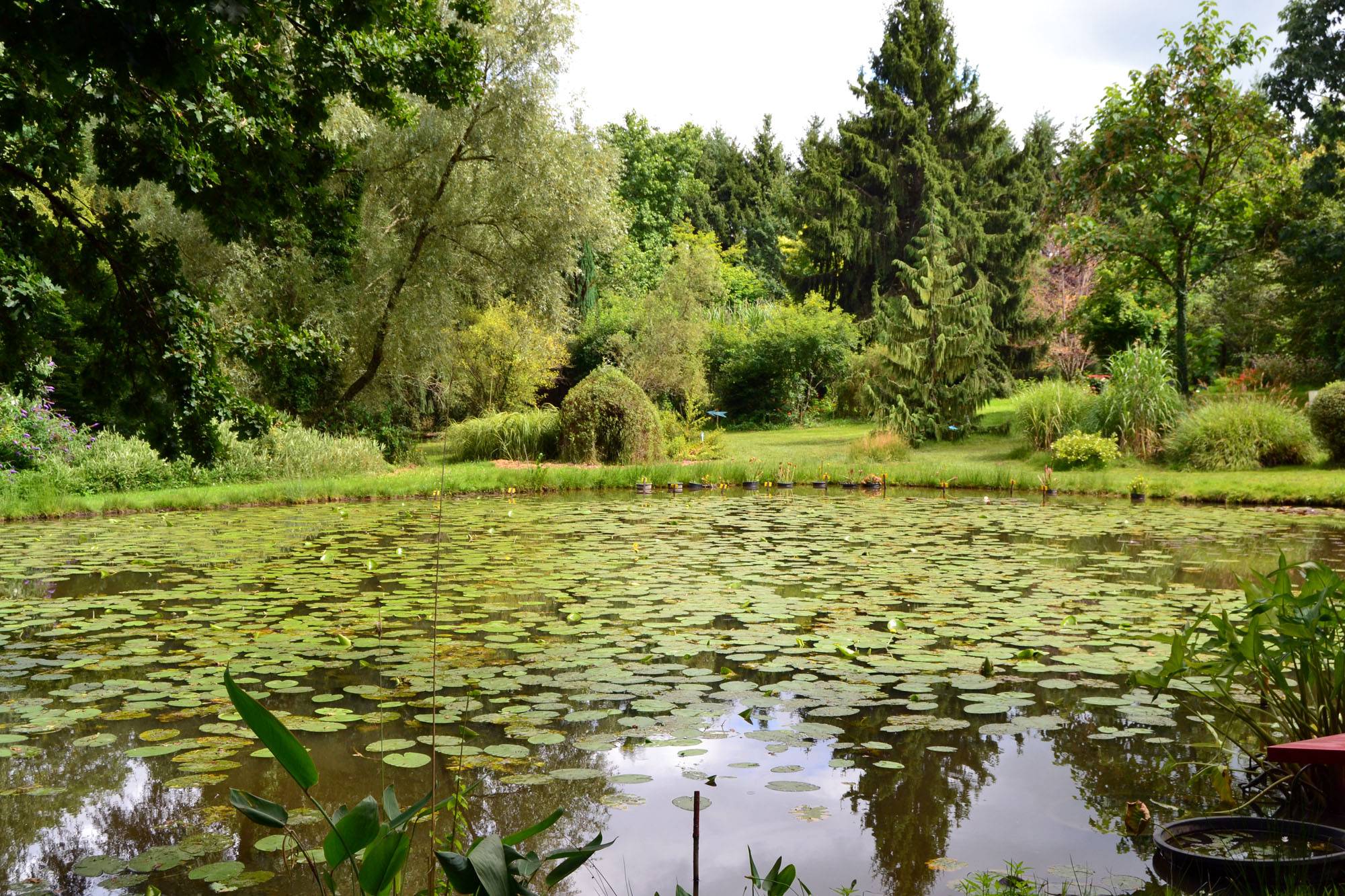 Photo de Arboretum Al Gaulhia