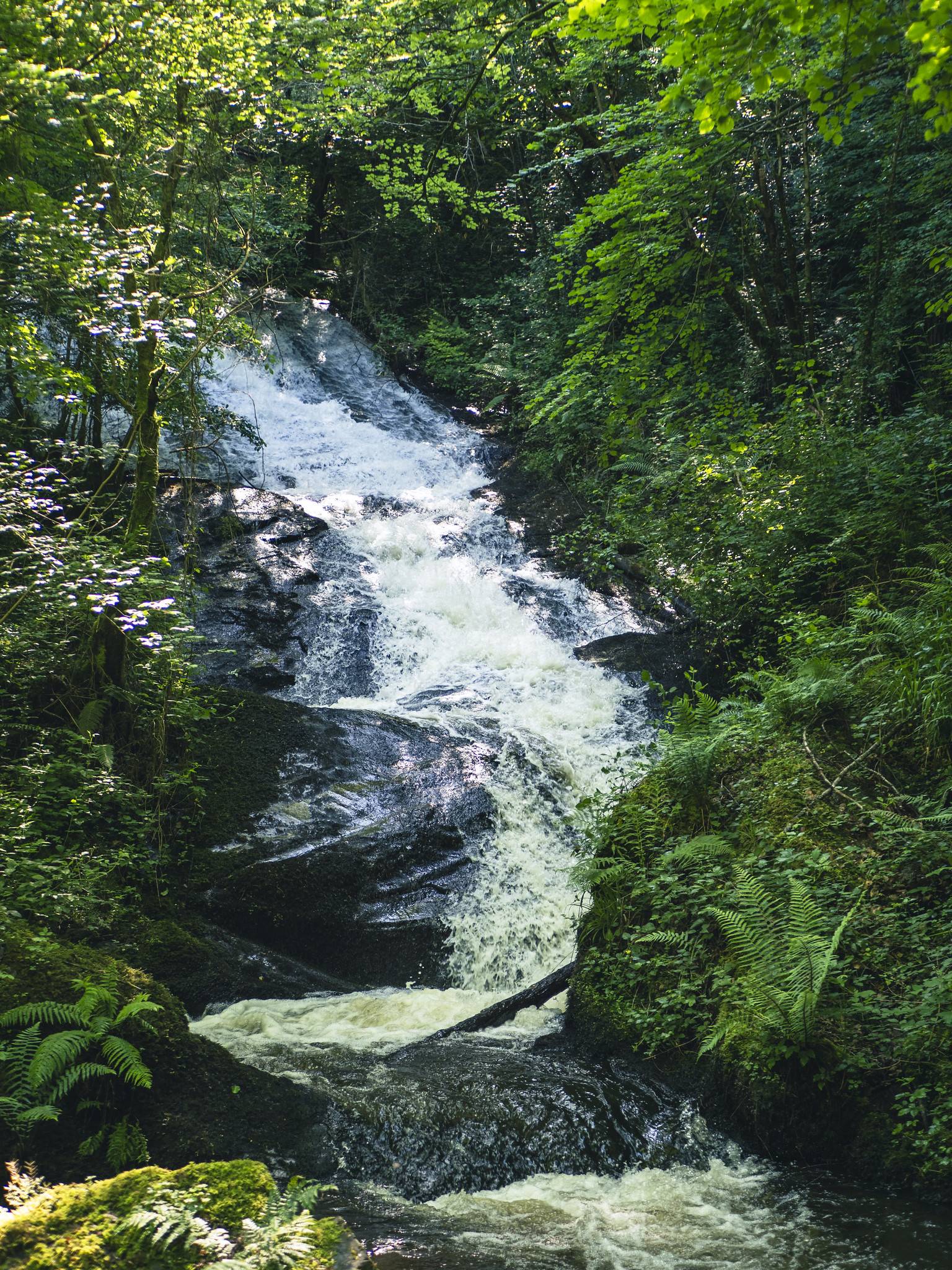 Photo de Cascade de Rabès
