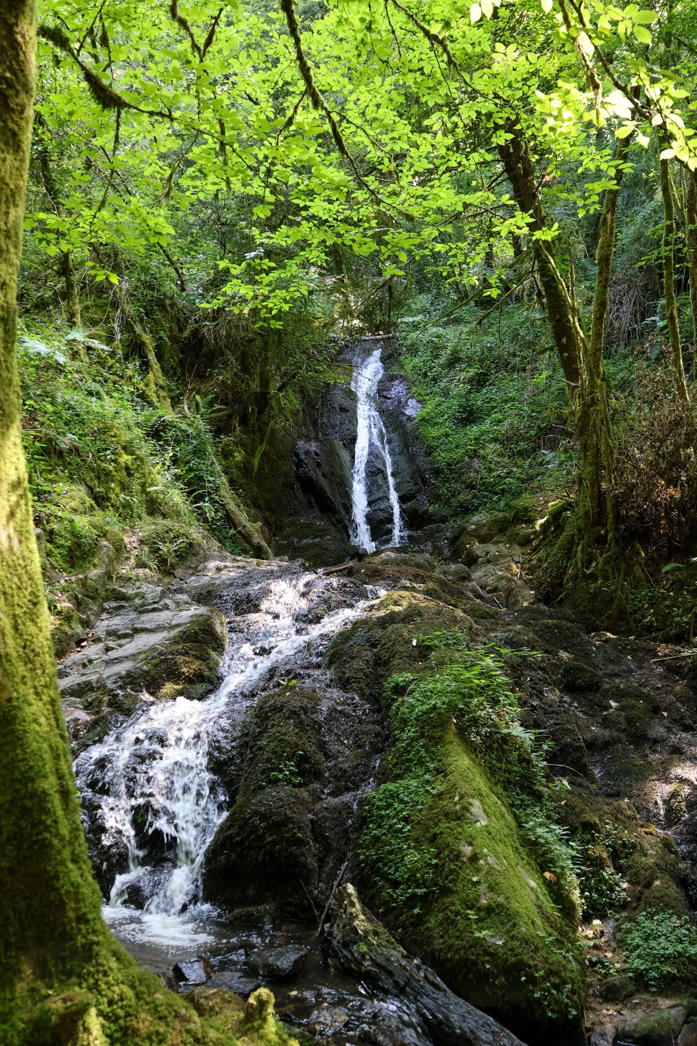 Photo de Cascadelles