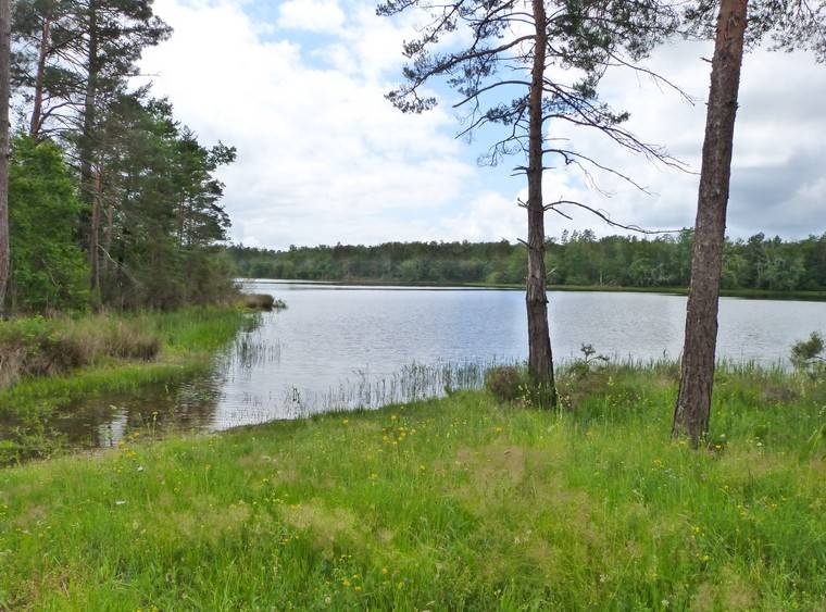 Photo de Les Etangs de la Jemaye