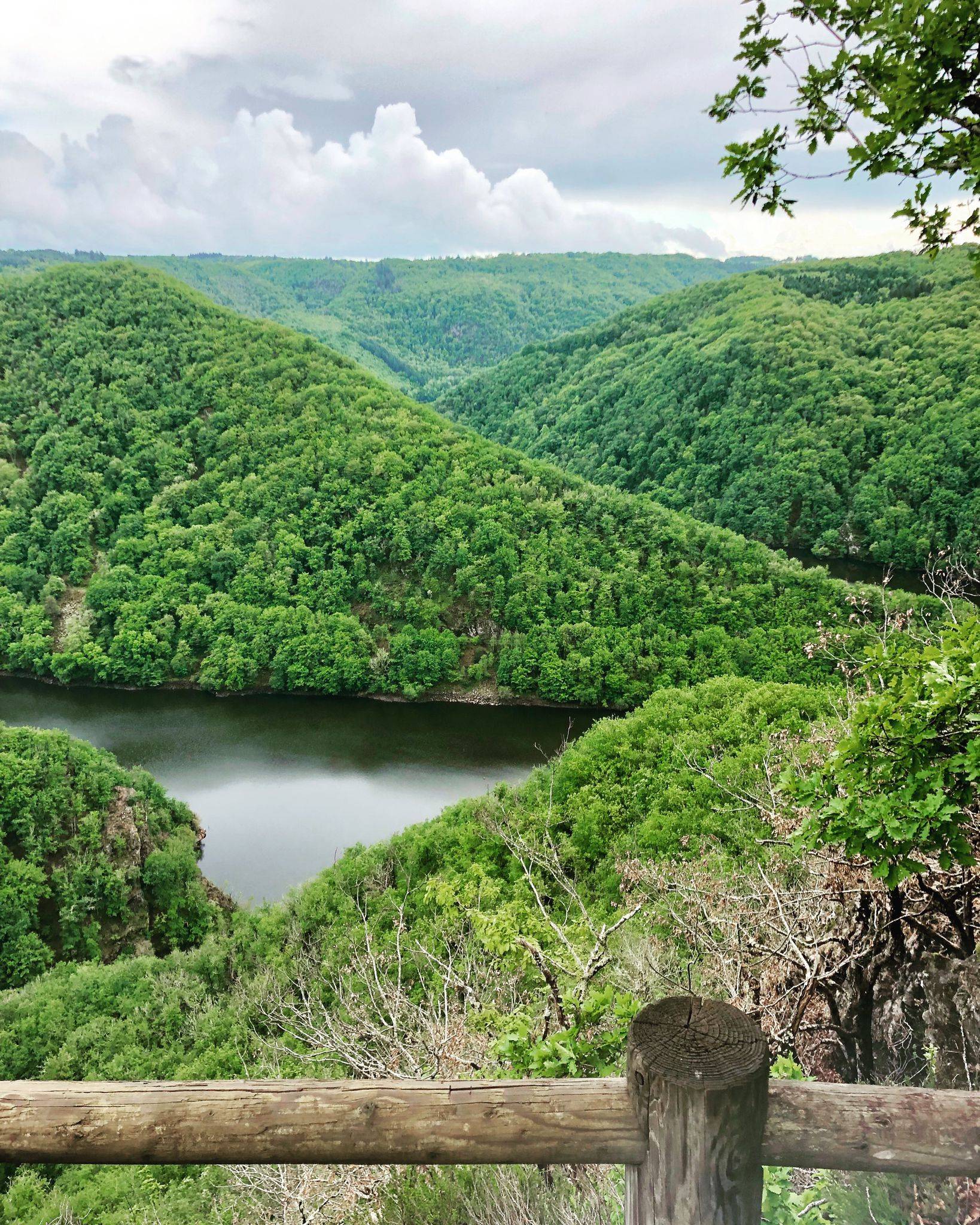 Photo de Les gorges de la Dordogne