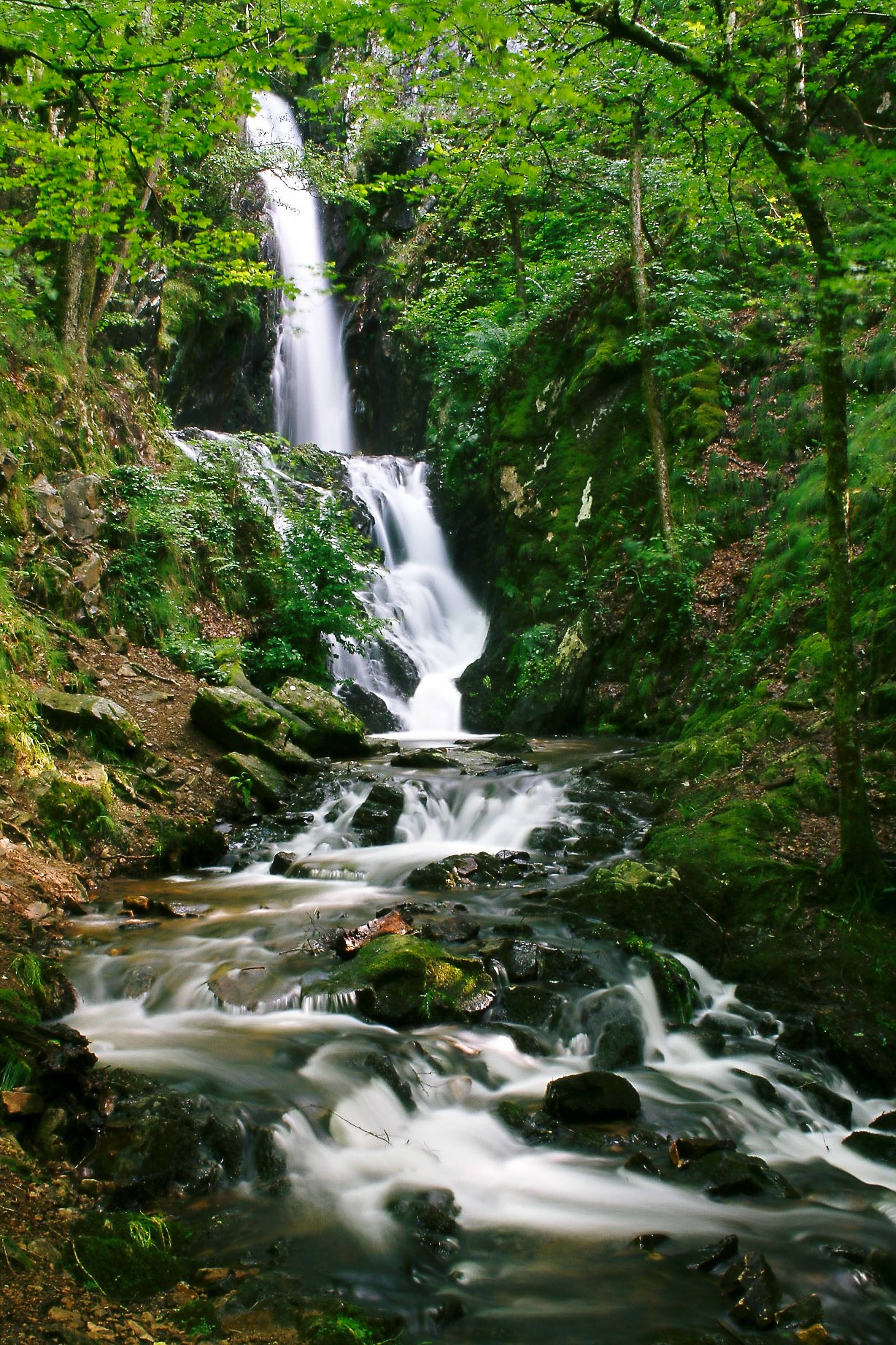 Photo de La cascade de Neyrat