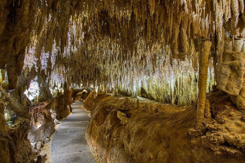 Photo de Grotte de Domme