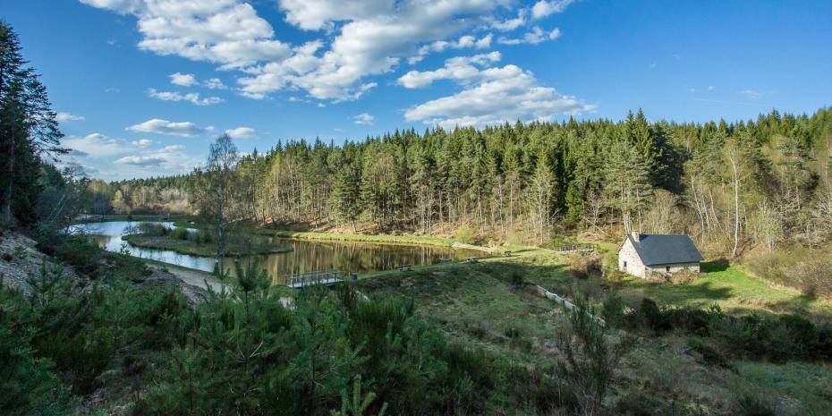 Photo de Etang des Prades