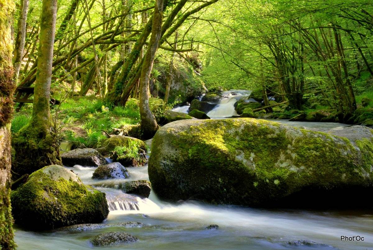 Photo de Le Saut du Chalard