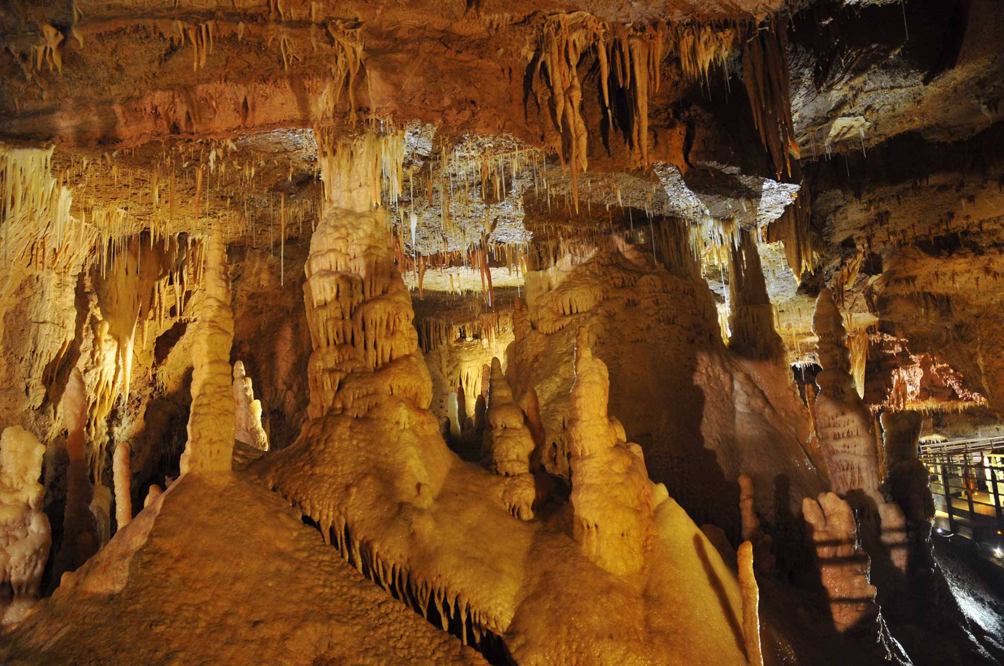 Photo de Grotte de Tourtoirac