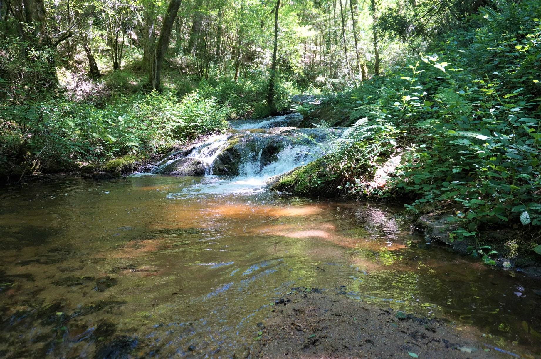 Photo de Cascades du Chalard