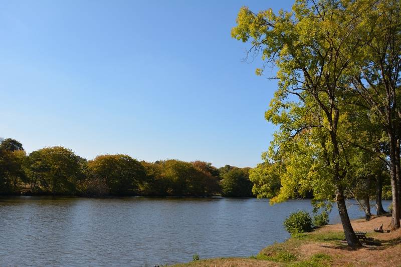 Photo de Etang communal de Saint Barbant