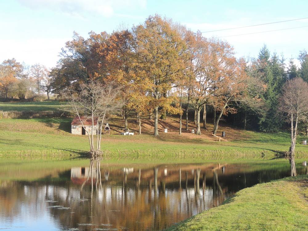 Photo de Etang Giraud