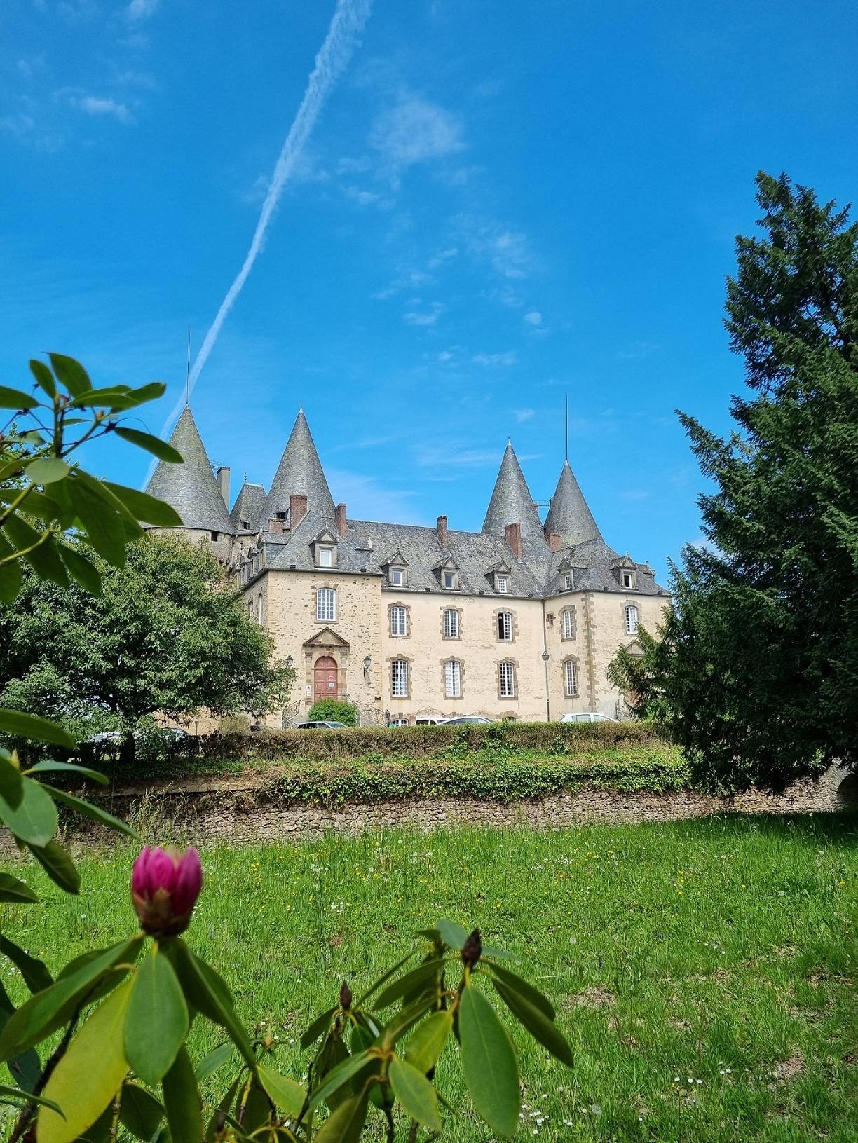 Photo de Parc du château du Verdier