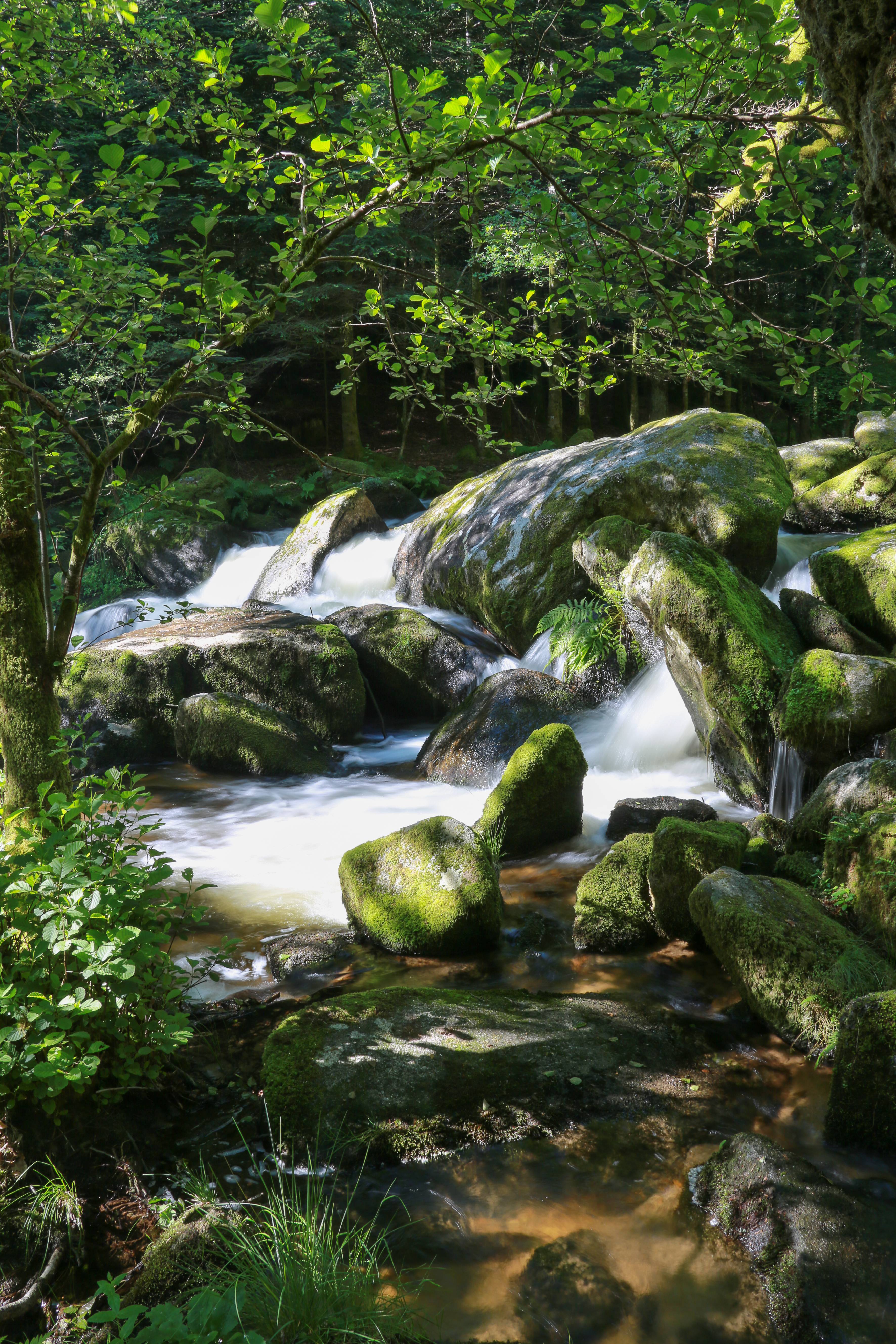 Photo de Cascades et moulins du Deiro
