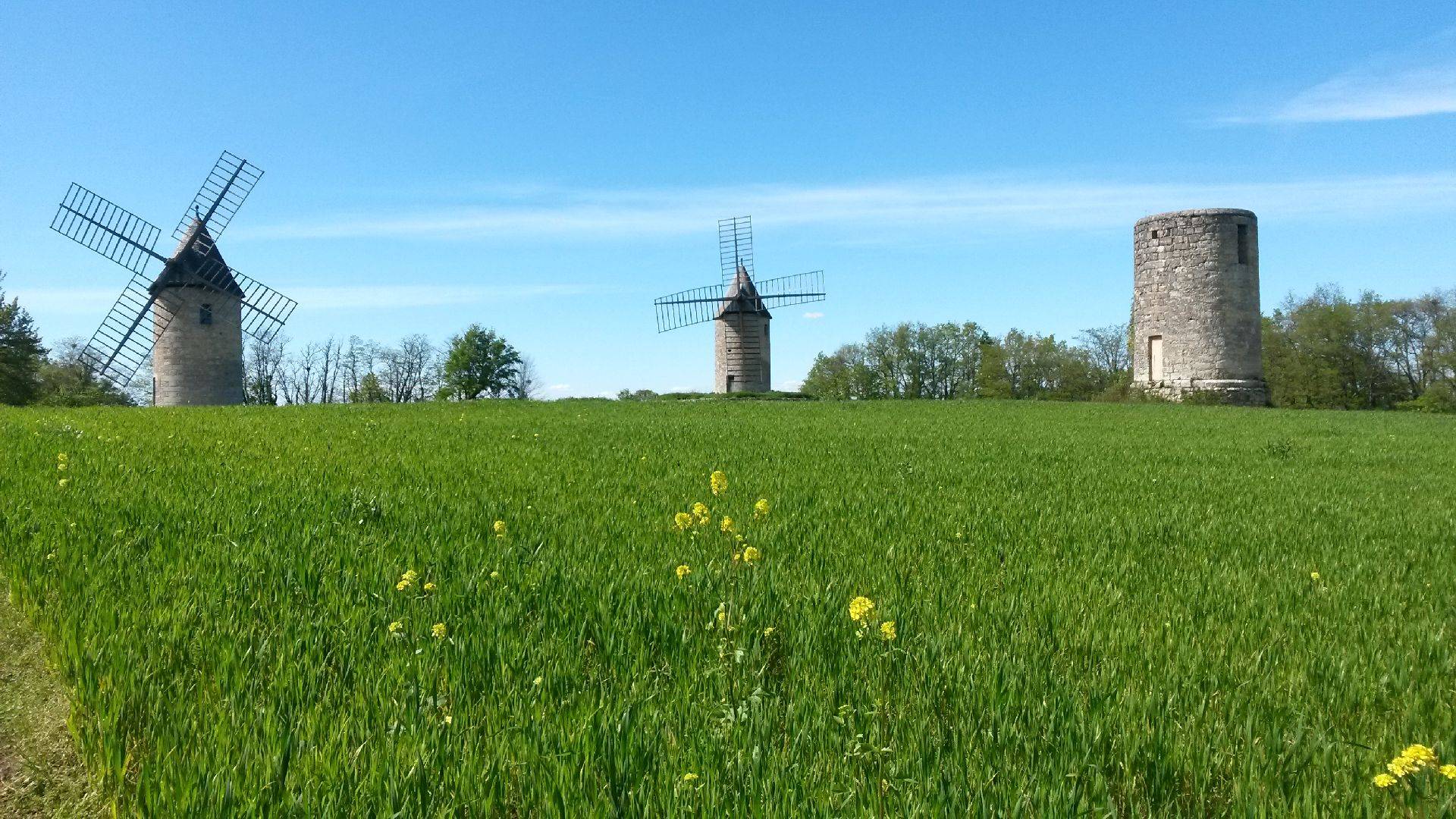 Photo de Moulins de Calon