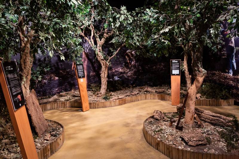 Photo de Musée du Liège et du Bouchon