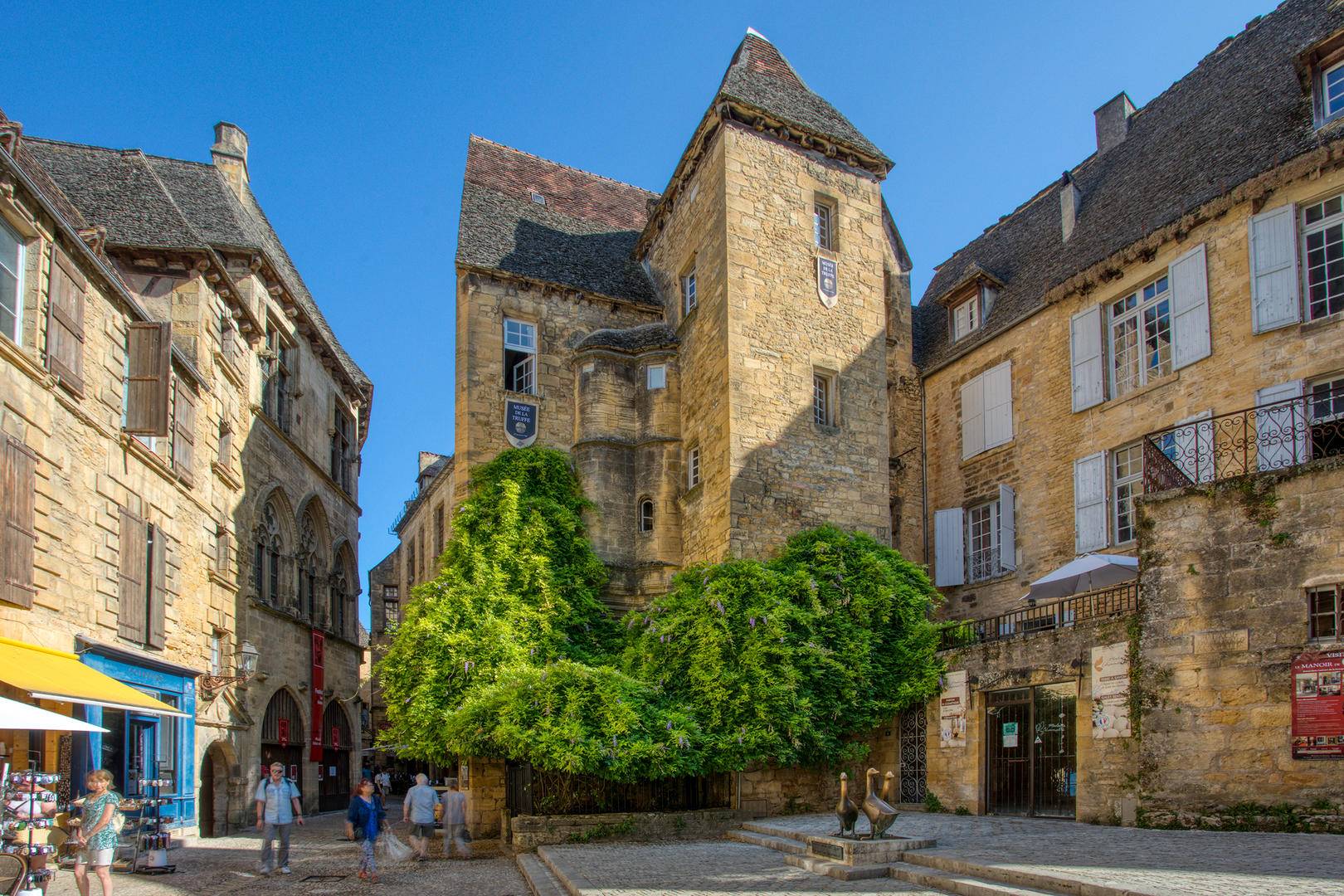 Photo de Musée de la truffe