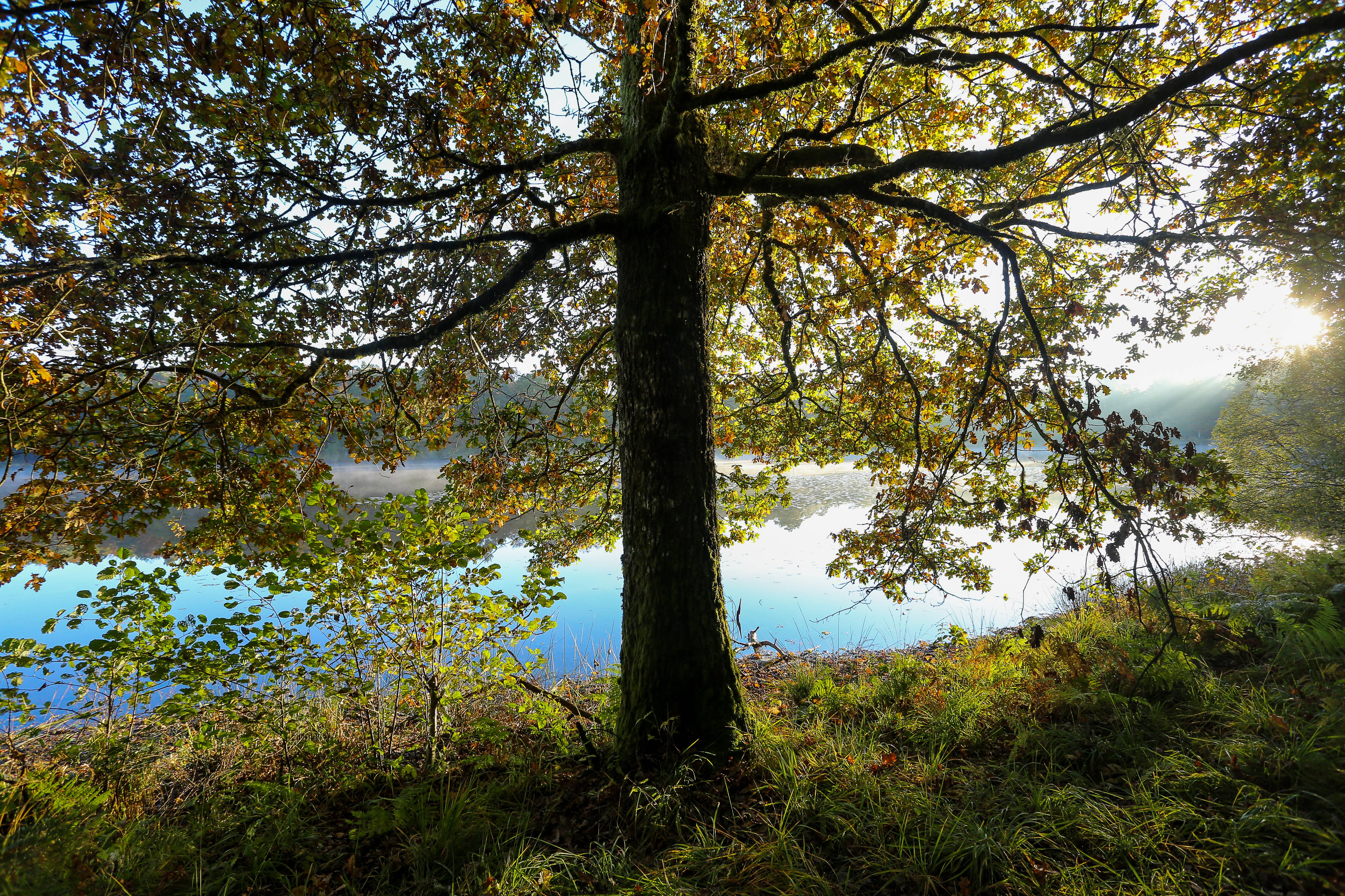 Photo de Les étangs du Doustre