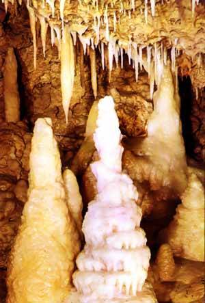 Photo de Grottes de Fontirou