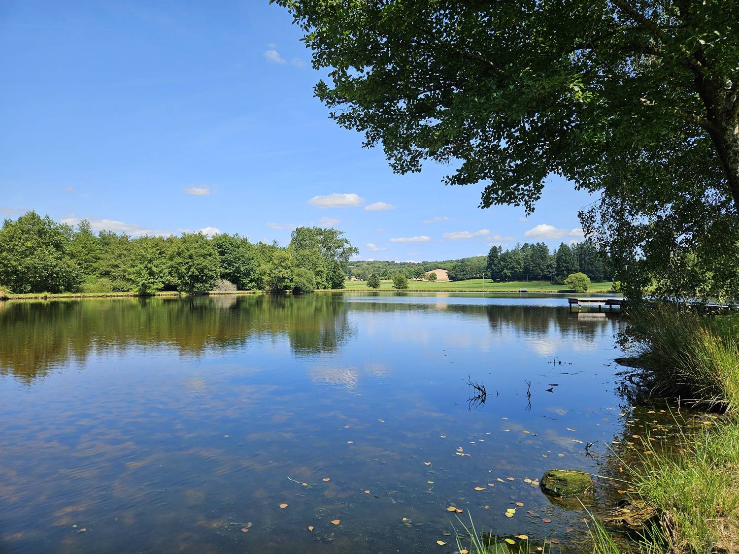 Photo de Etang de Firbeix