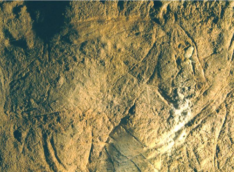 Photo de Grotte des Combarelles