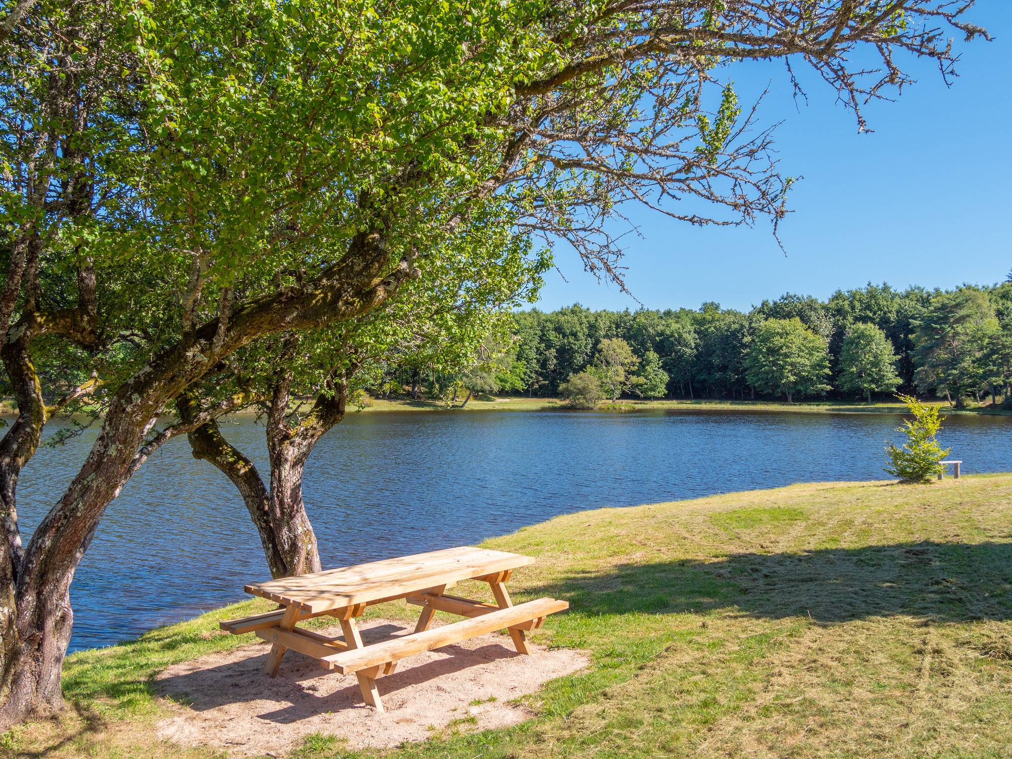 Photo de Étang de la Chèze