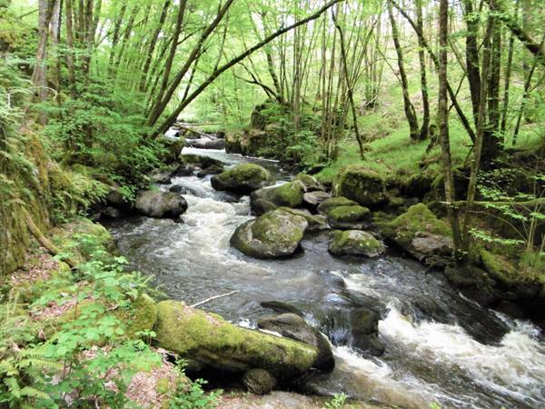 Photo de Le Trou de Philippou