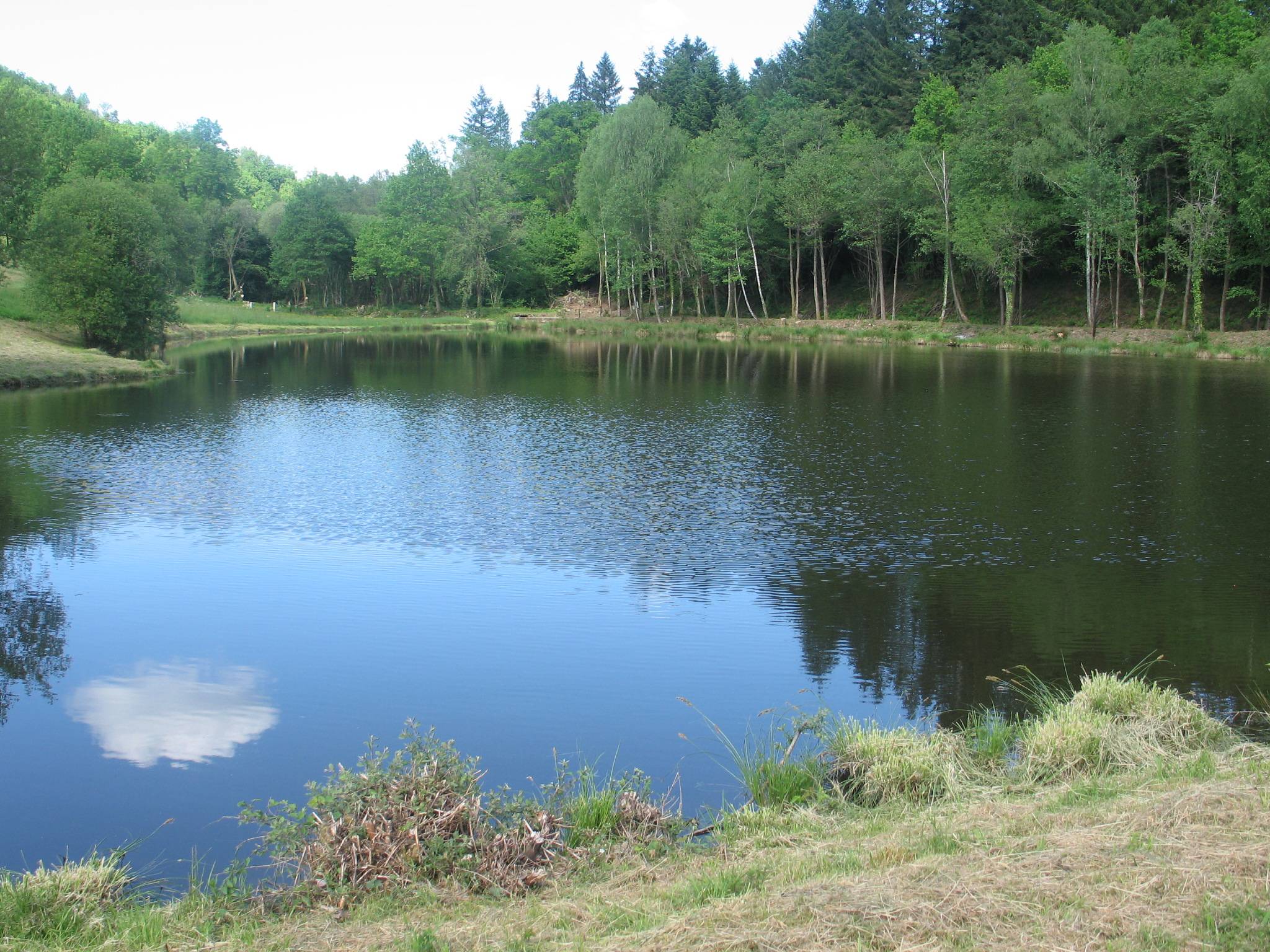Photo de Etang de Saint Moreil