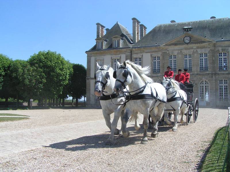 Photo de Haras national du Pin