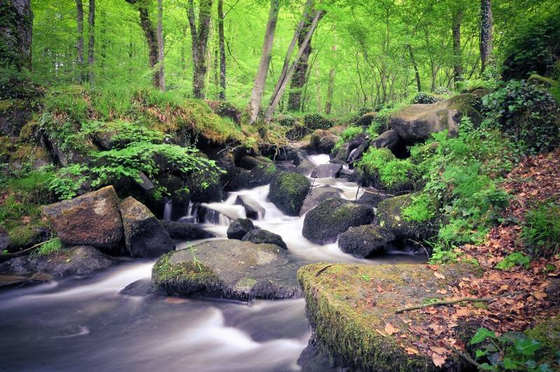 Photo de Les cascades du Pont ès Retours