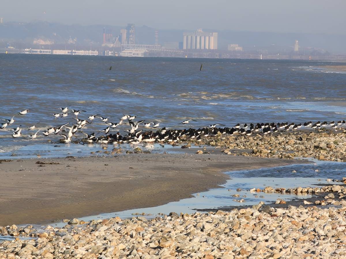 Photo de Plage de Pennedepie