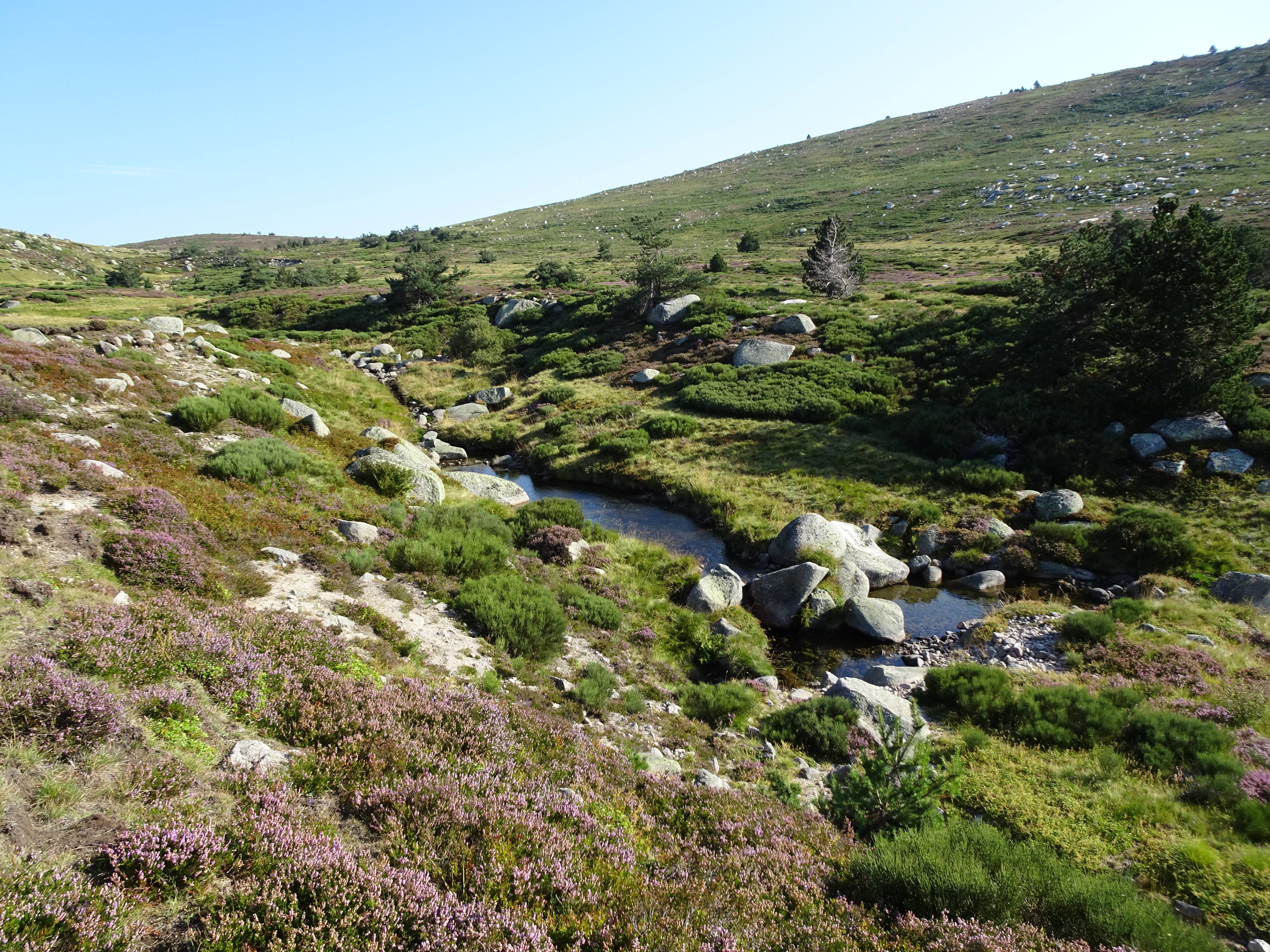 Photo de COMBES DES SOURCES DU TARN