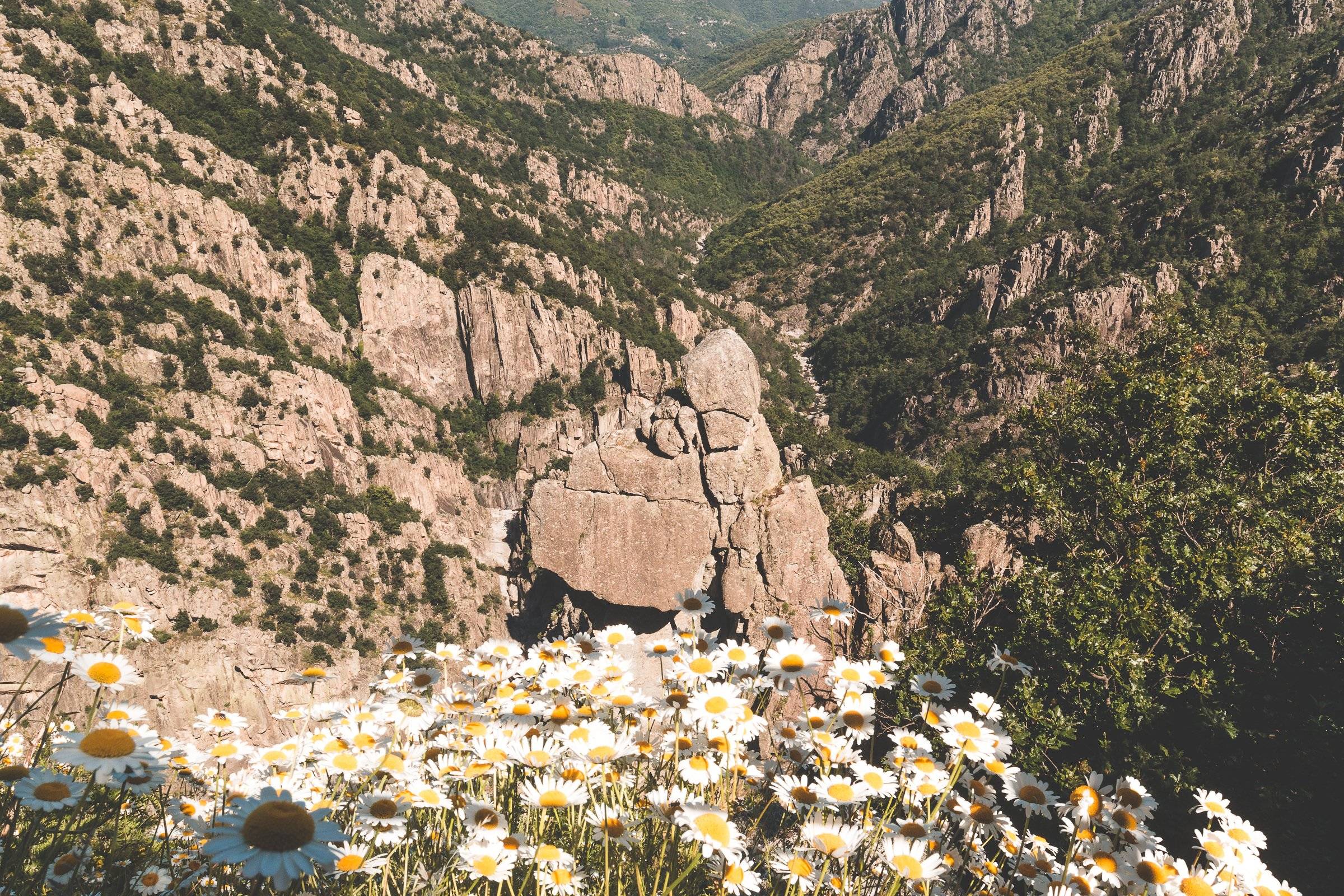 Photo de BELVÉDÈRE DU CHASSEZAC