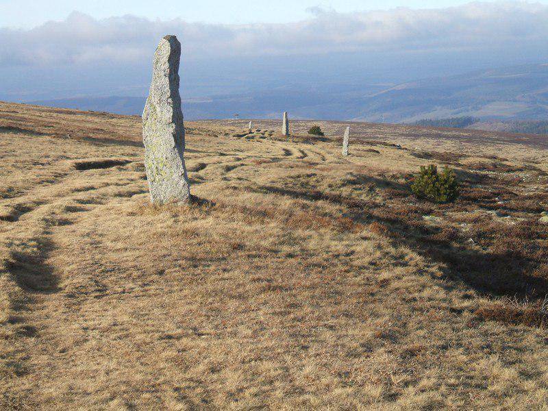 Photo de LA PELOUSE DU MONT LOZÈRE